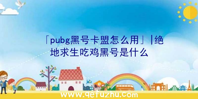 「pubg黑号卡盟怎么用」|绝地求生吃鸡黑号是什么